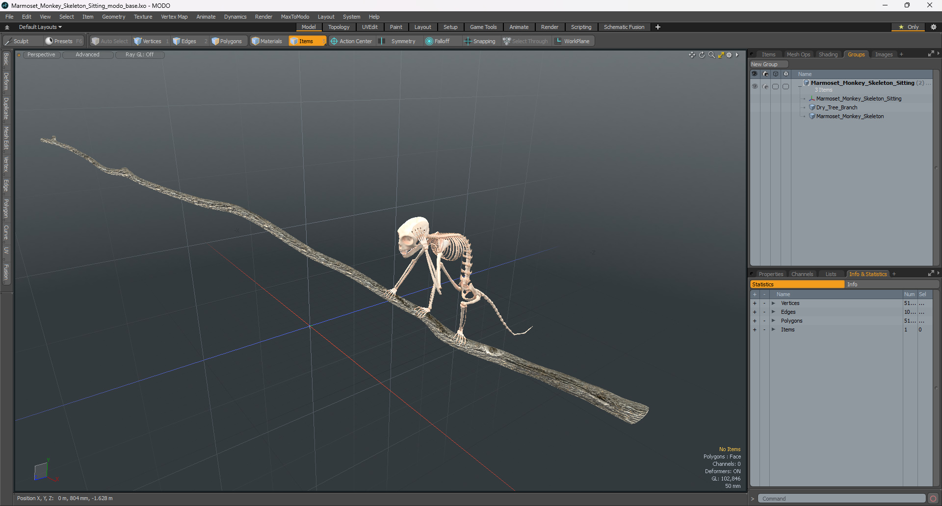 Marmoset Monkey Skeleton Sitting 3D
