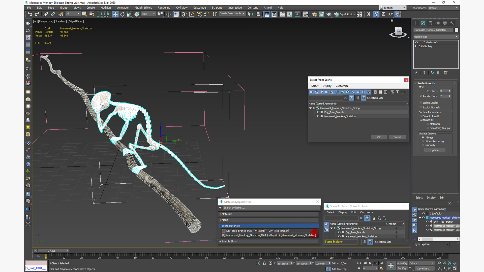 Marmoset Monkey Skeleton Sitting 3D