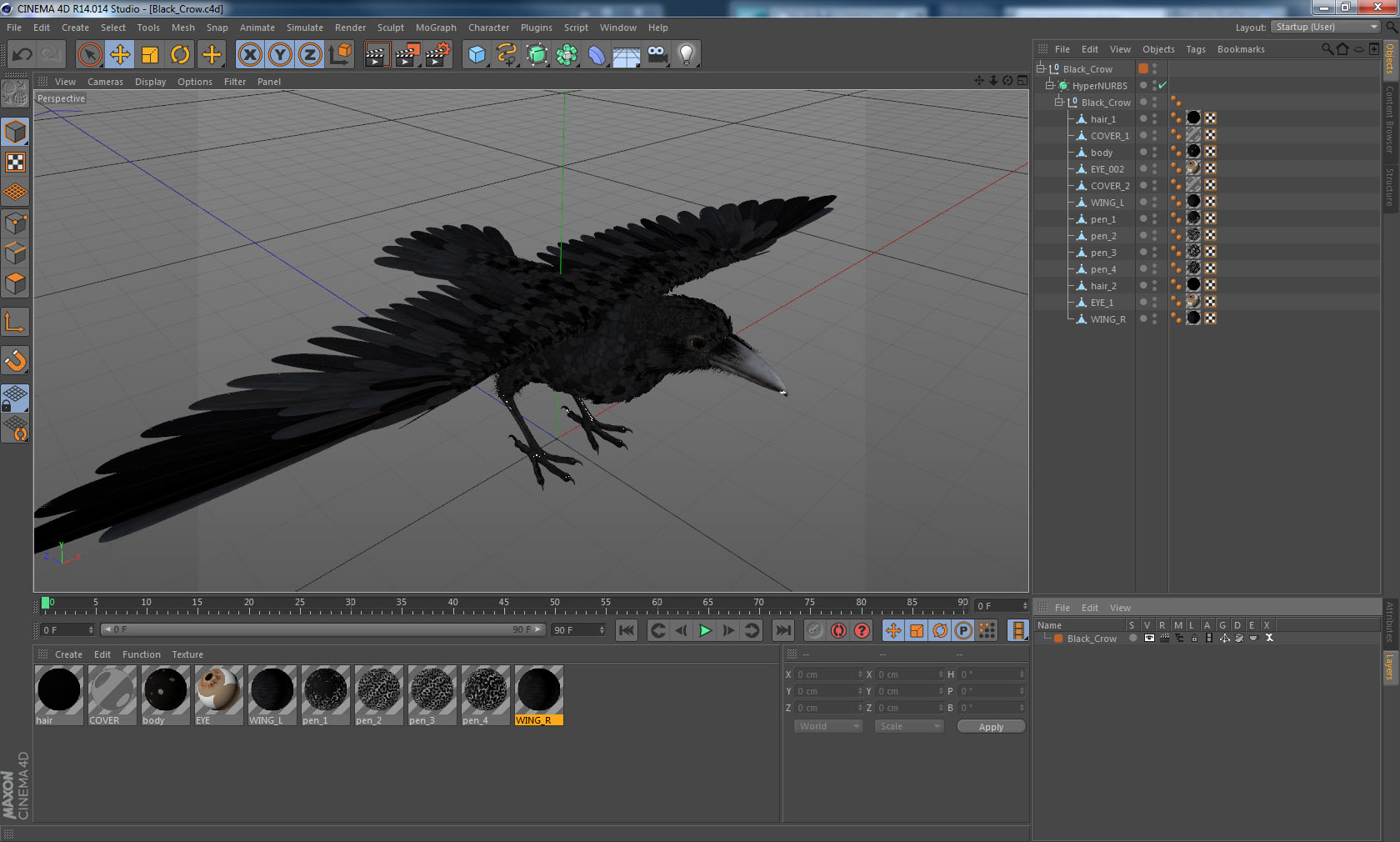 3D model Black Crow