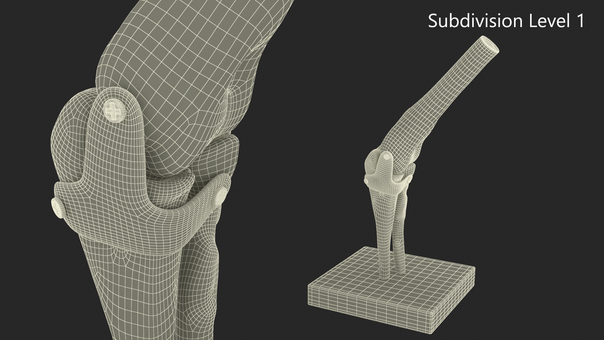 Elbow Joint Rigged for Maya 3D