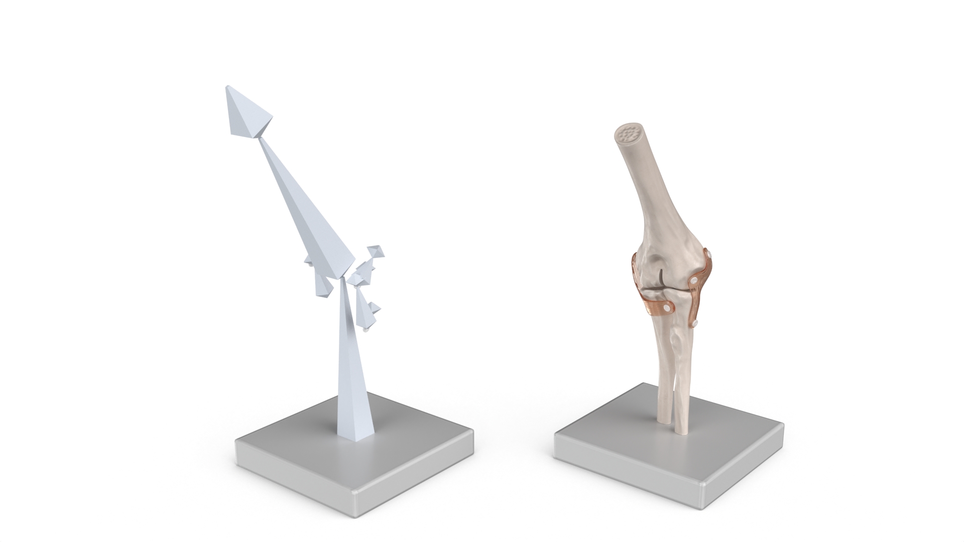 Elbow Joint Rigged for Maya 3D