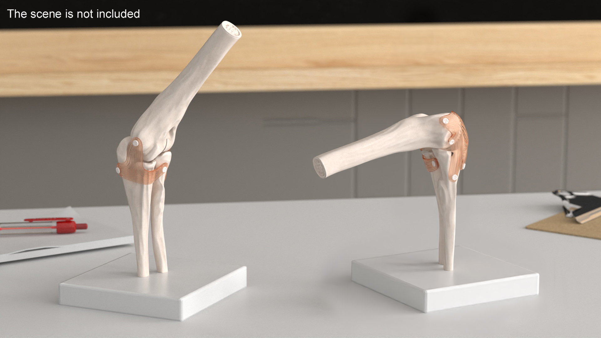 Elbow Joint Rigged for Maya 3D