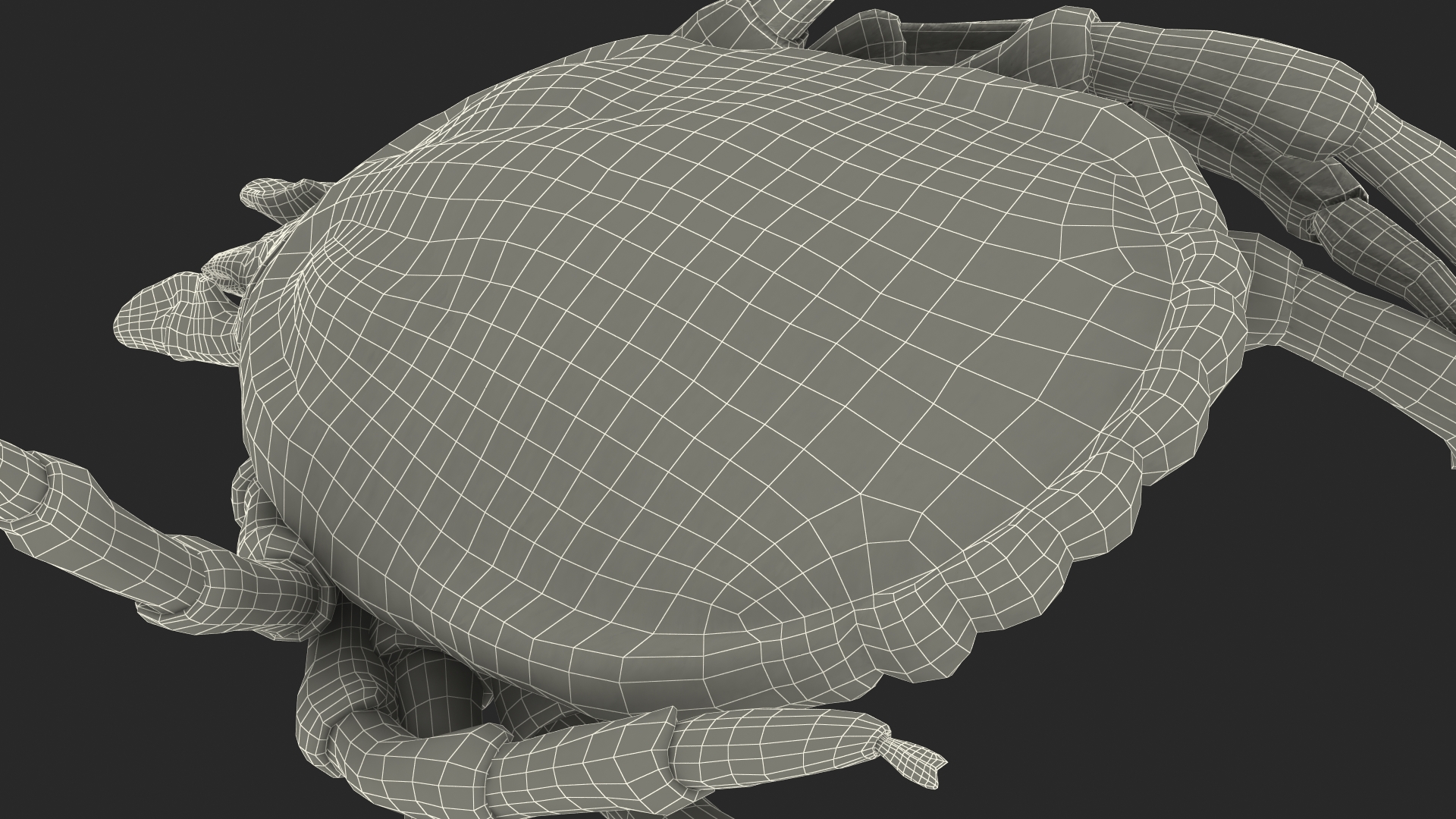 3D Tick Bite Pose Fur model