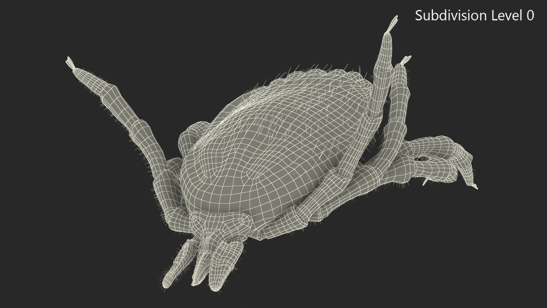 3D Tick Bite Pose Fur model