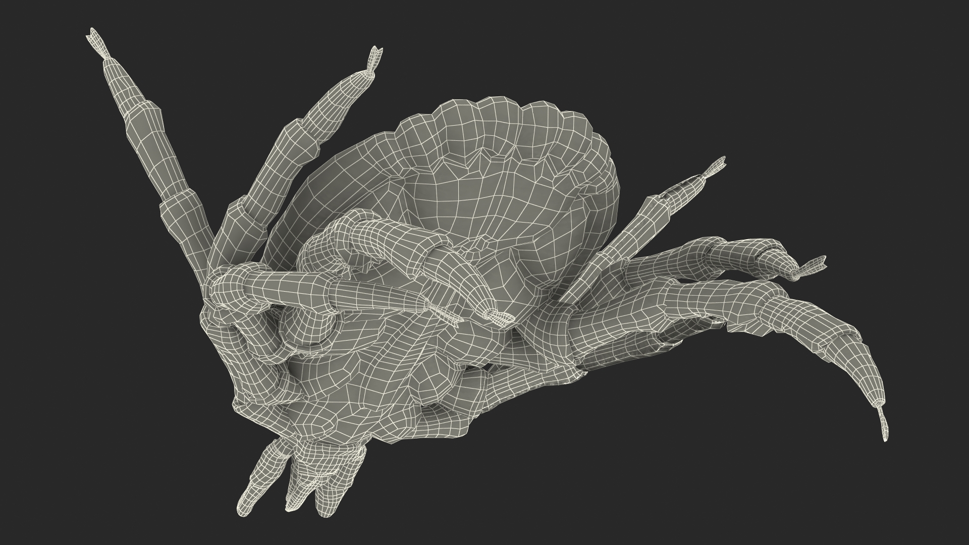 3D Tick Bite Pose Fur model