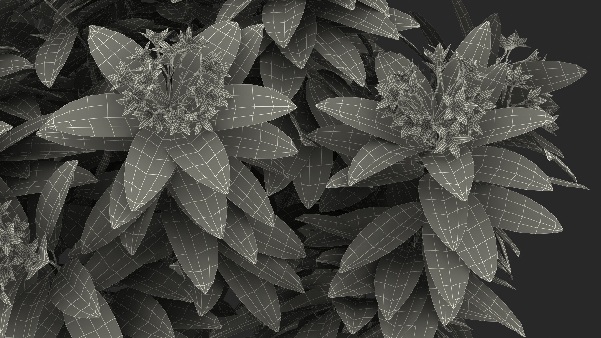 3D model Flower Pot Plumeria White