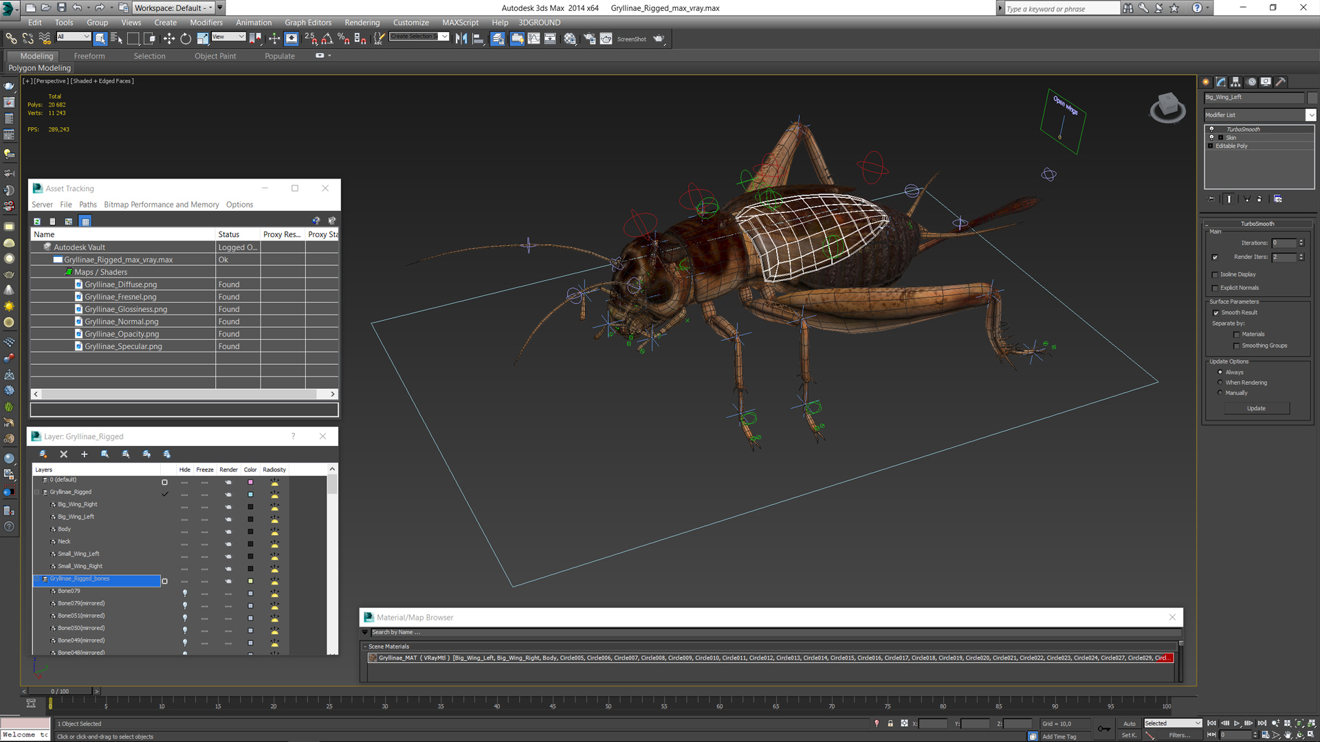 3D Gryllinae Rigged