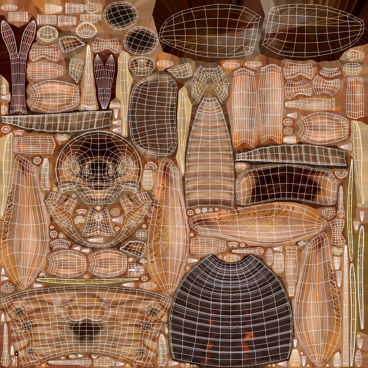 3D Gryllinae Rigged