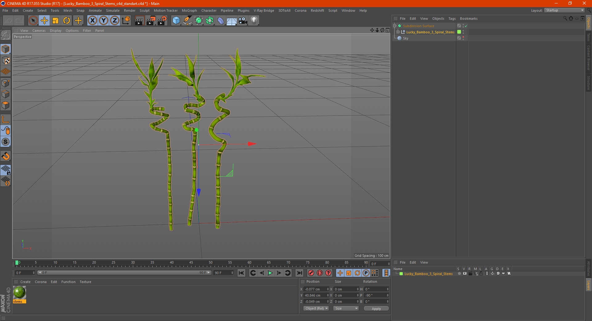 Lucky Bamboo 3 Spiral Stems 3D