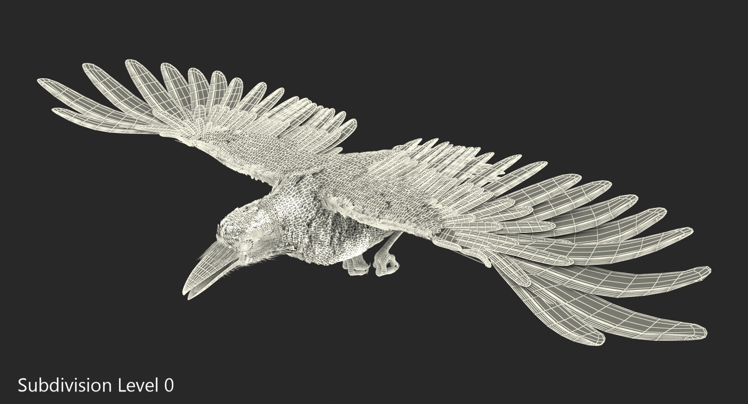 3D Raven Flying Animated Rigged model