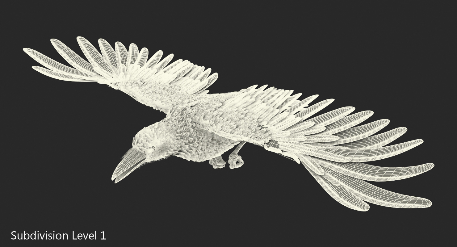 3D Raven Flying Animated Rigged model