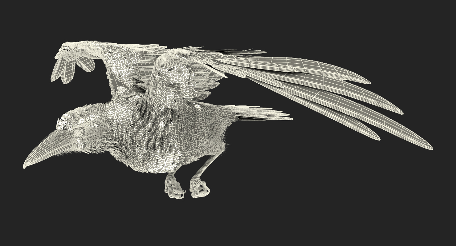3D Raven Flying Animated Rigged model