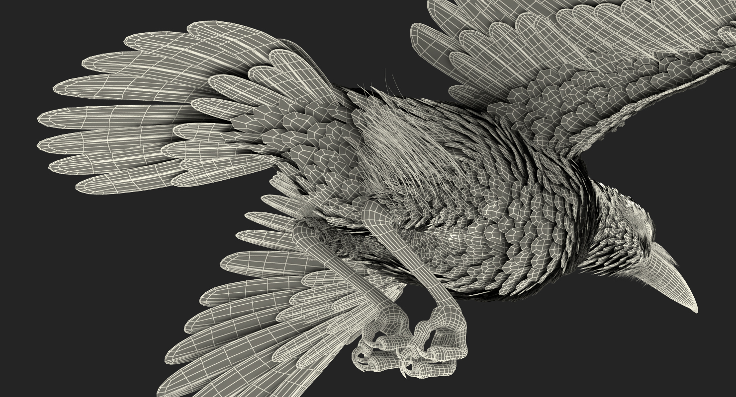 3D Raven Flying Animated Rigged model