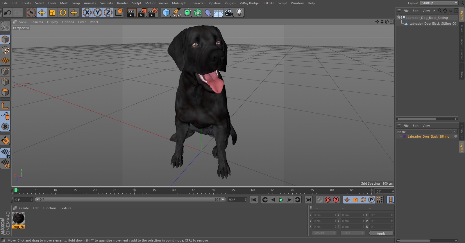 3D Labrador Dog Black Sitting