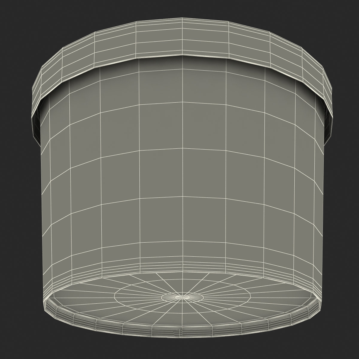3D Ice Cream Gallon Container