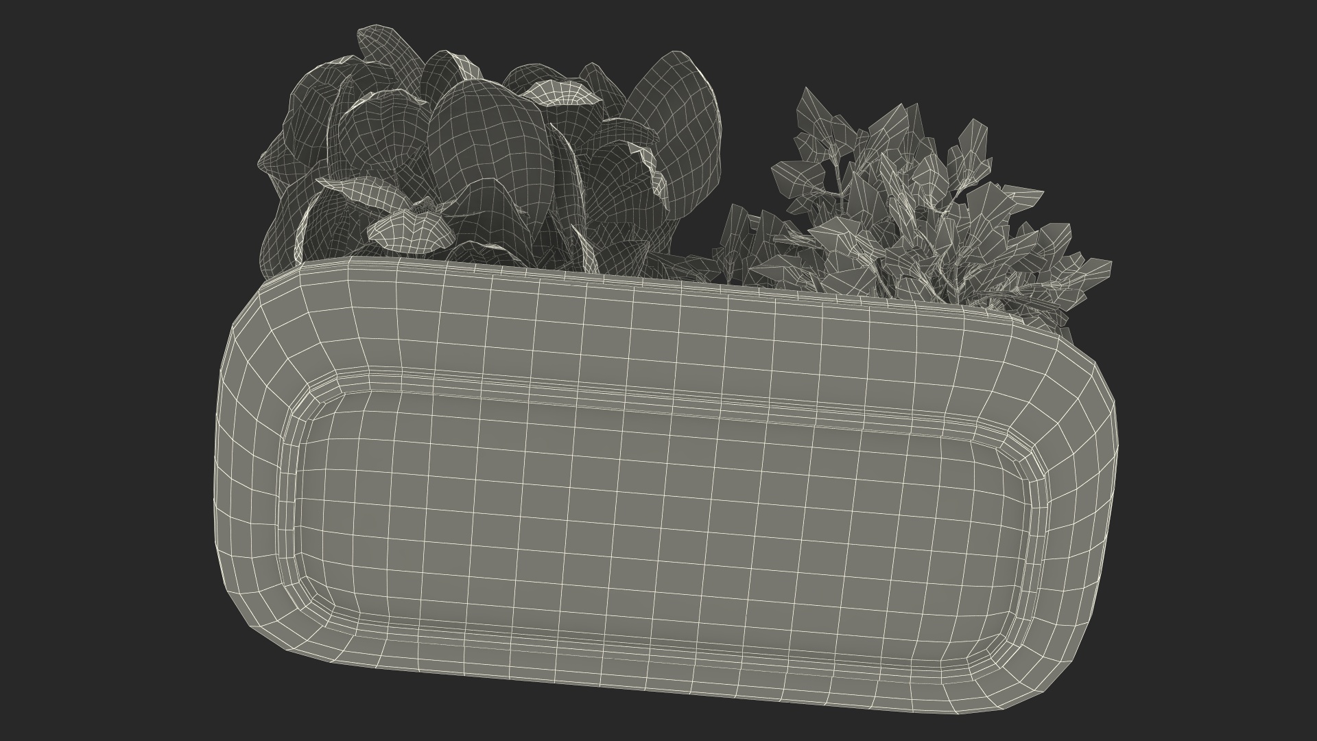 3D Sagaform Double Pot with Herbs Beige