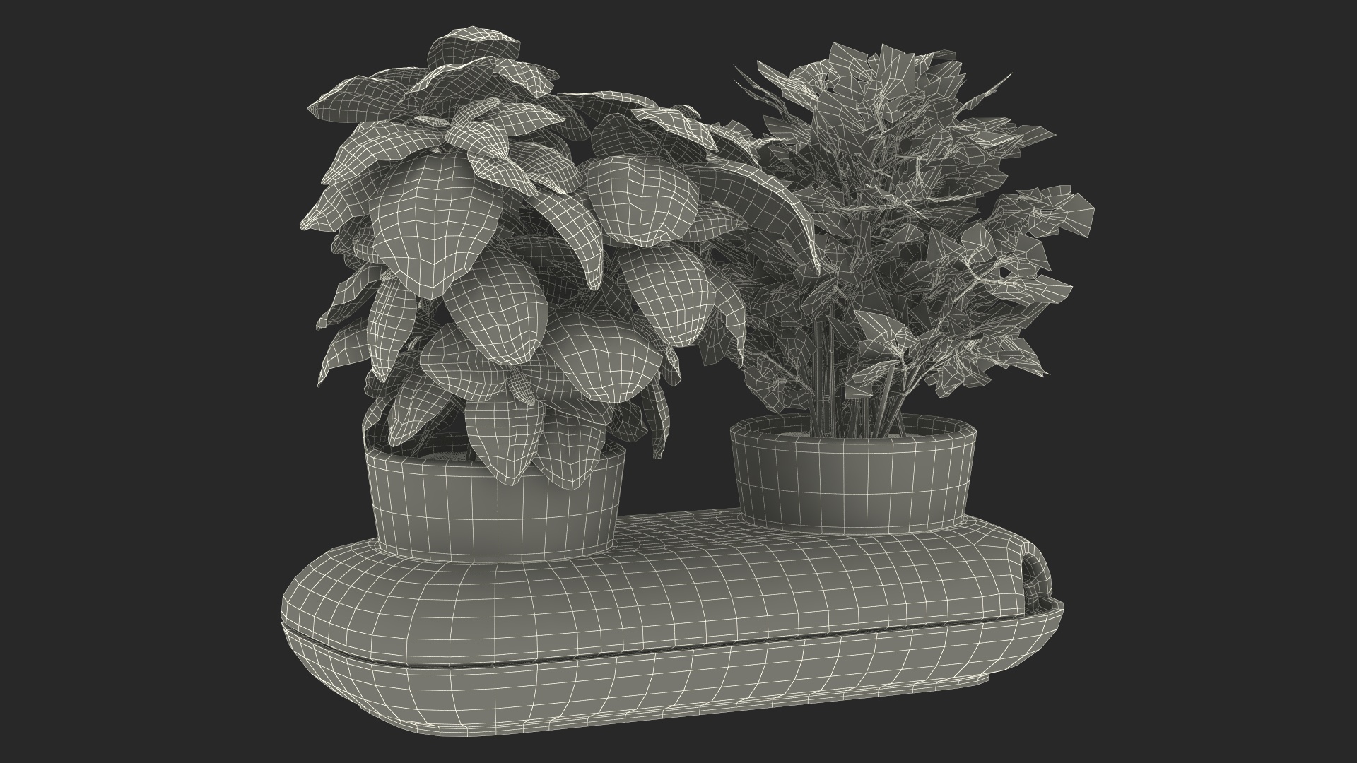 3D Sagaform Double Pot with Herbs Beige