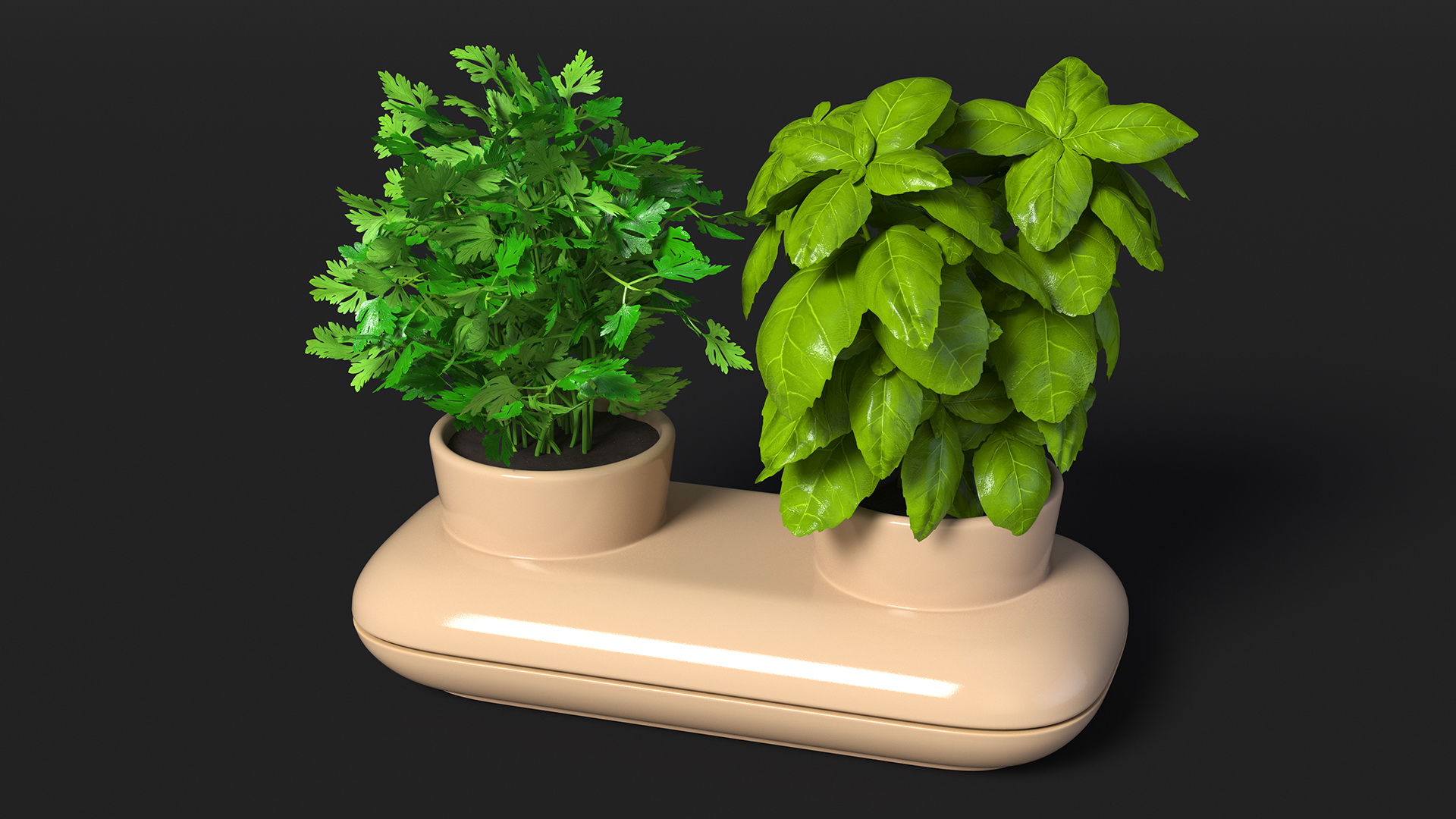 3D Sagaform Double Pot with Herbs Beige