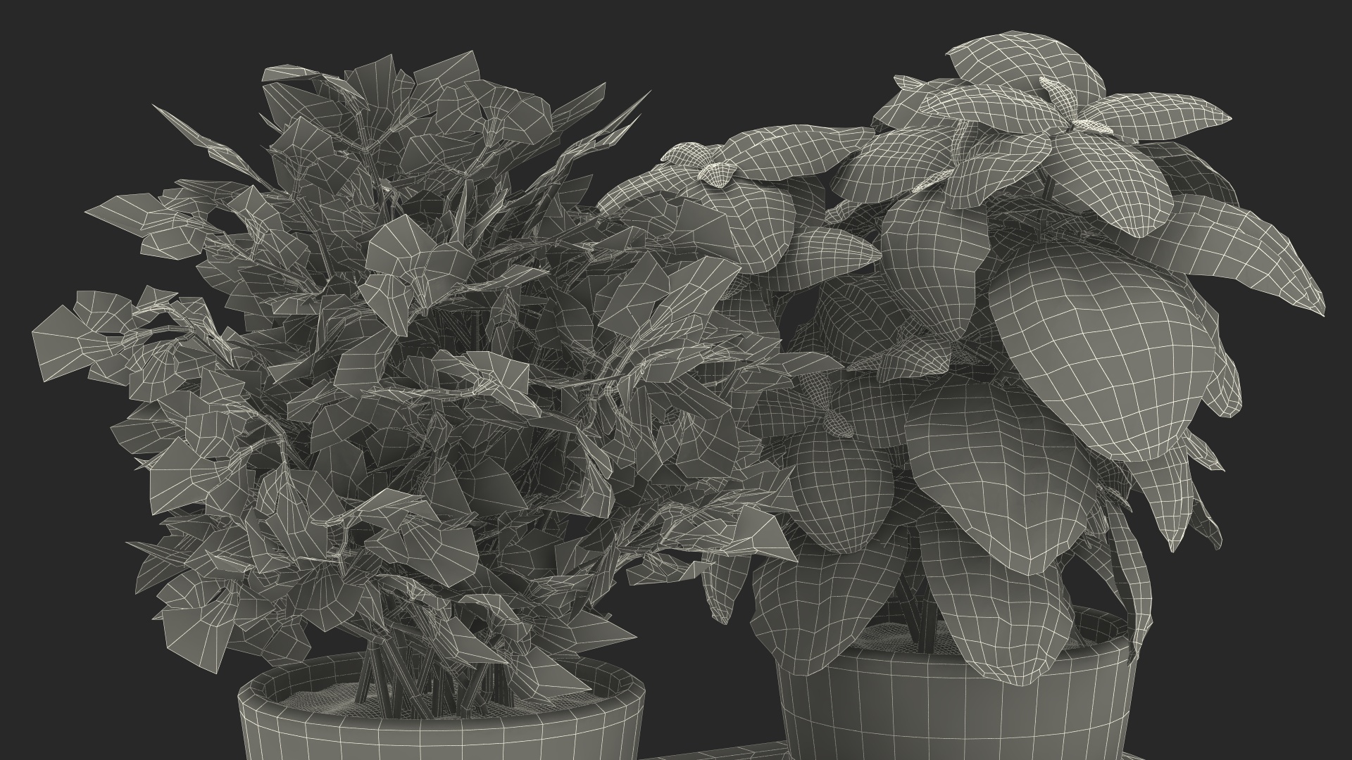 3D Sagaform Double Pot with Herbs Beige