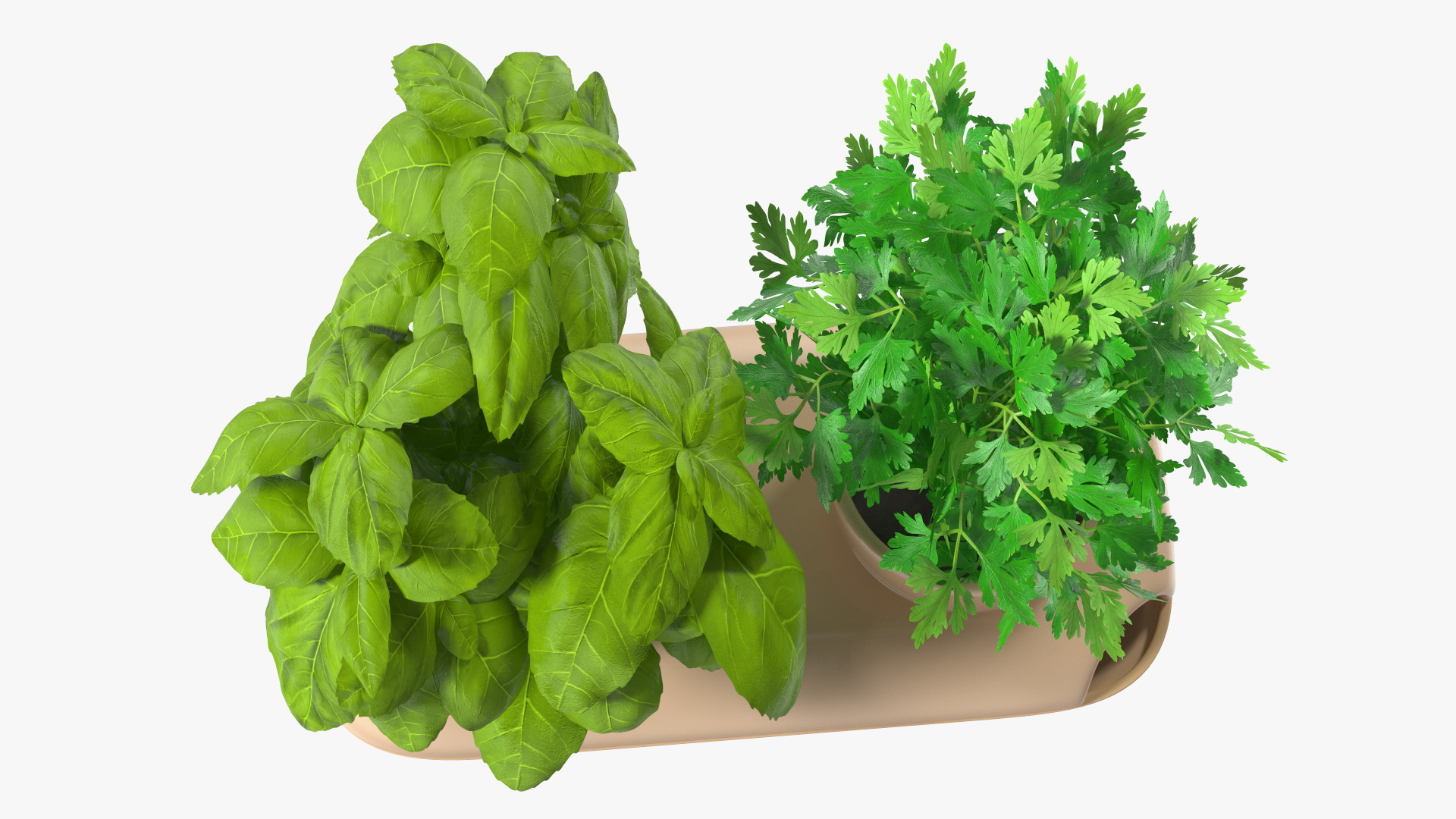 3D Sagaform Double Pot with Herbs Beige