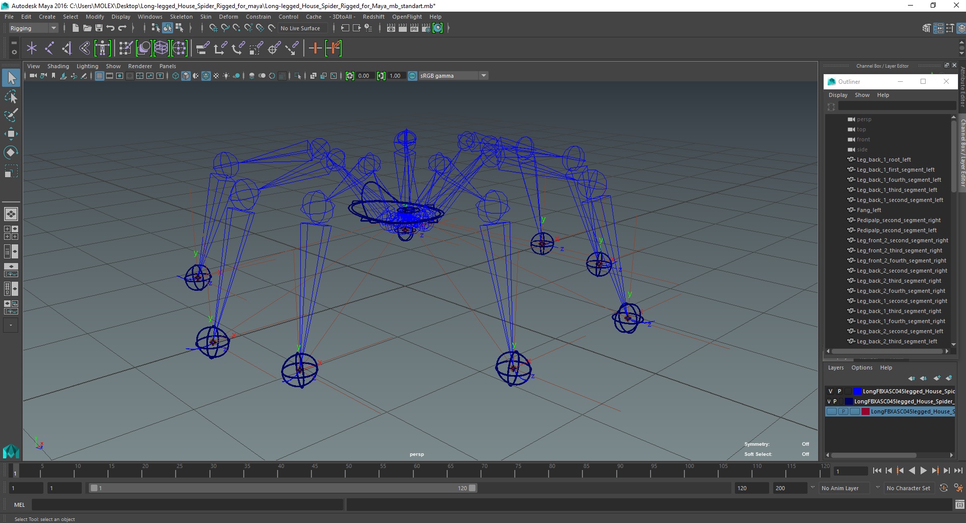 3D model Long-legged House Spider Rigged for Maya