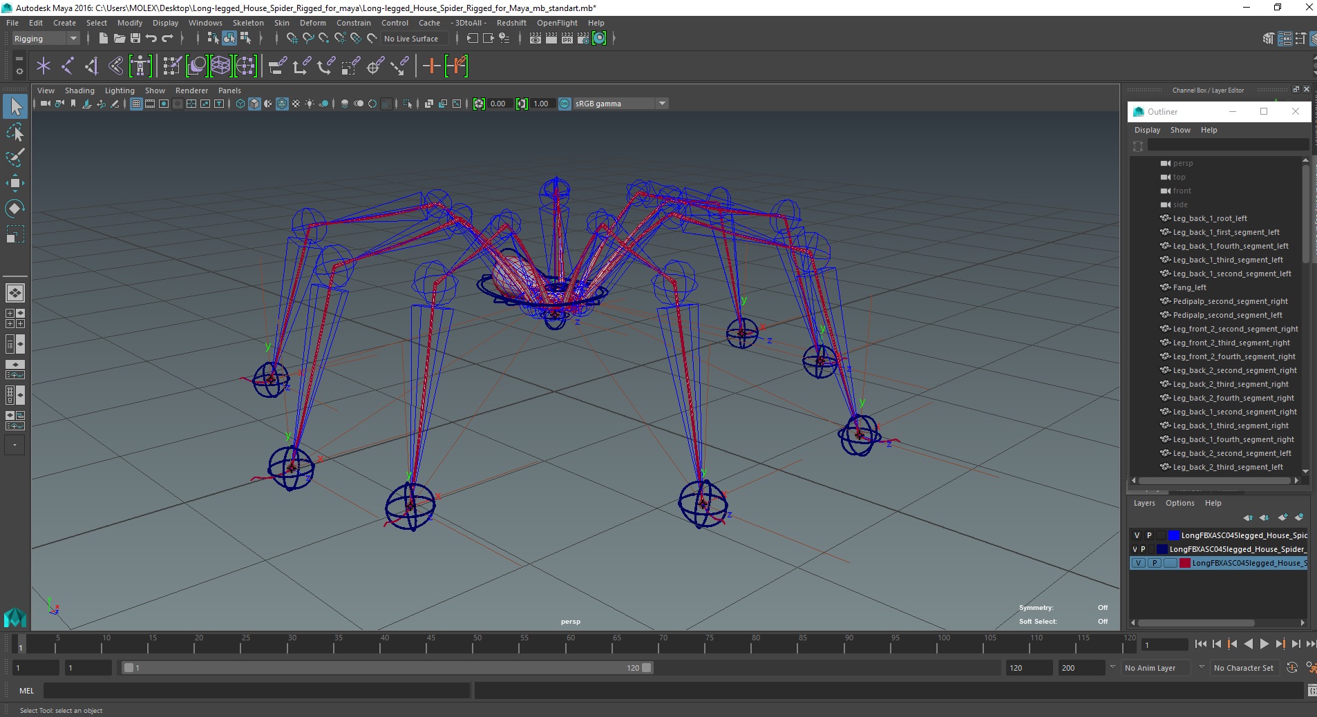 3D model Long-legged House Spider Rigged for Maya