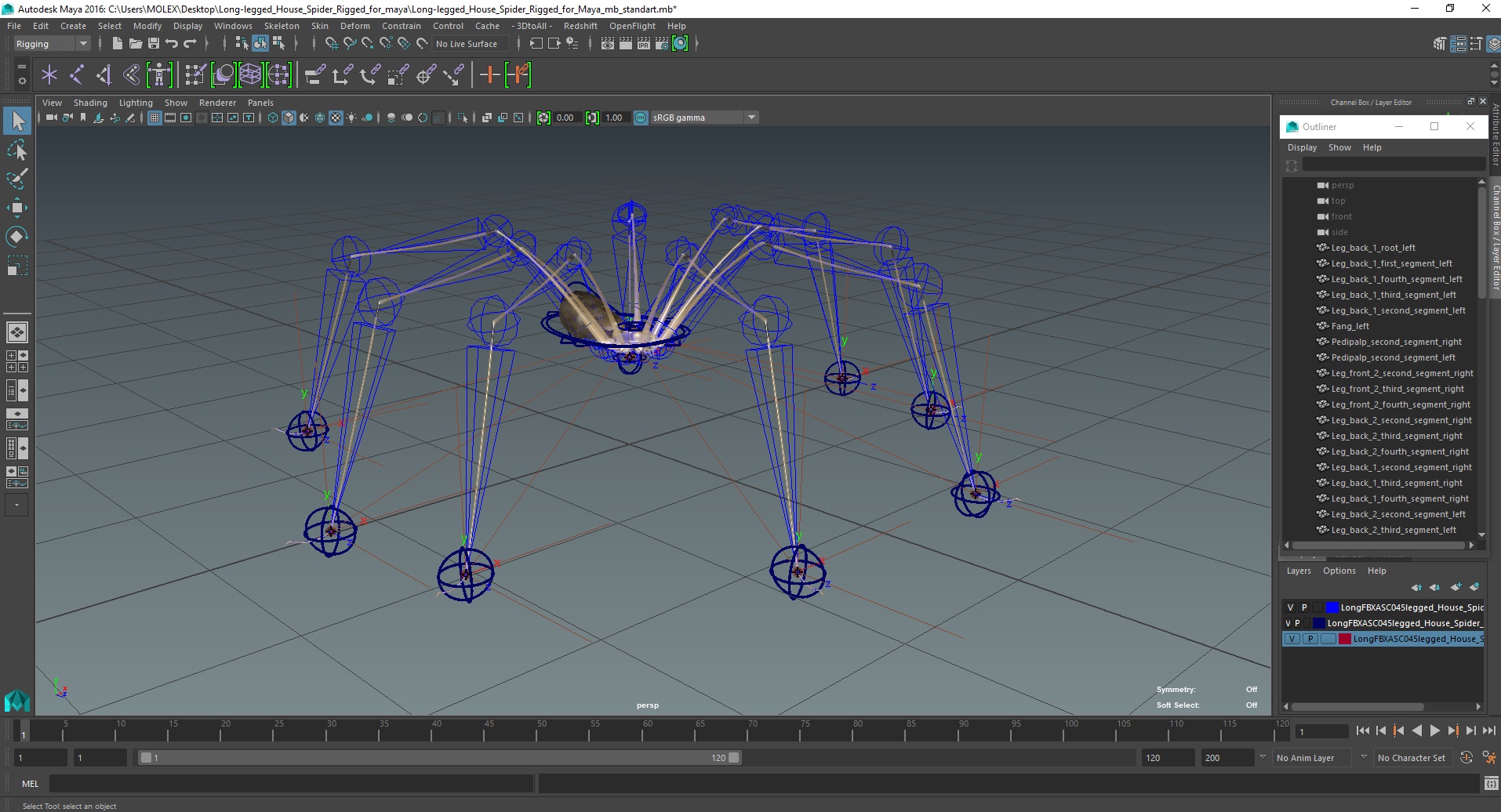3D model Long-legged House Spider Rigged for Maya