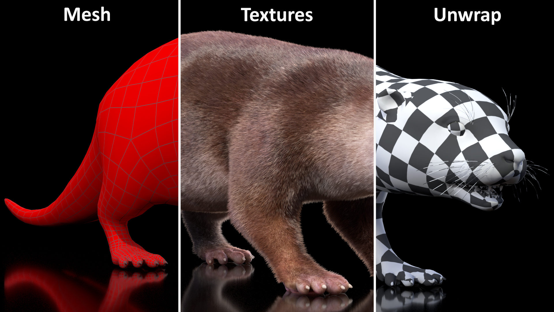 Aquatic Otter Rigged Fur 3D model
