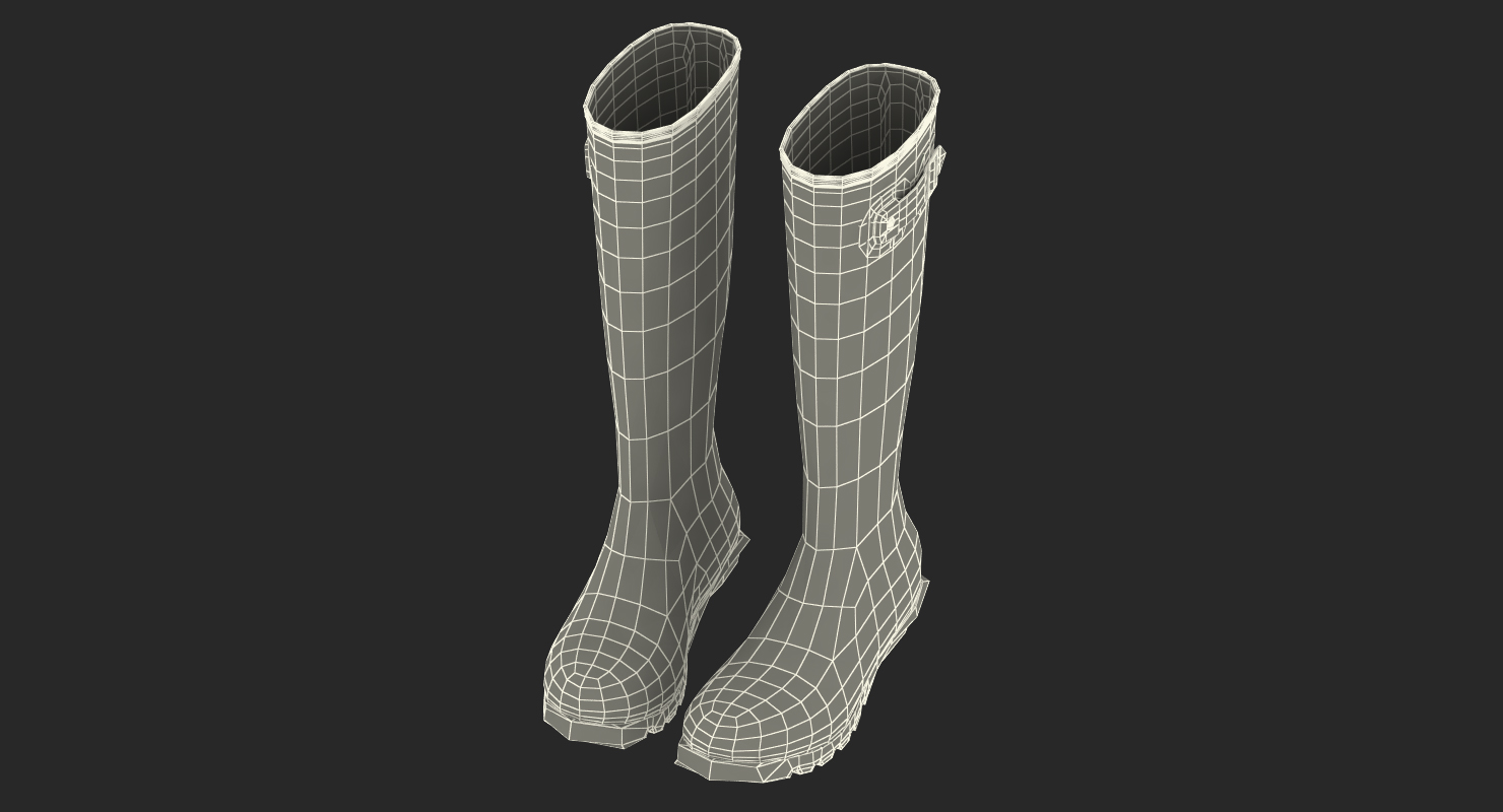 3D Tall Rain Boots Green