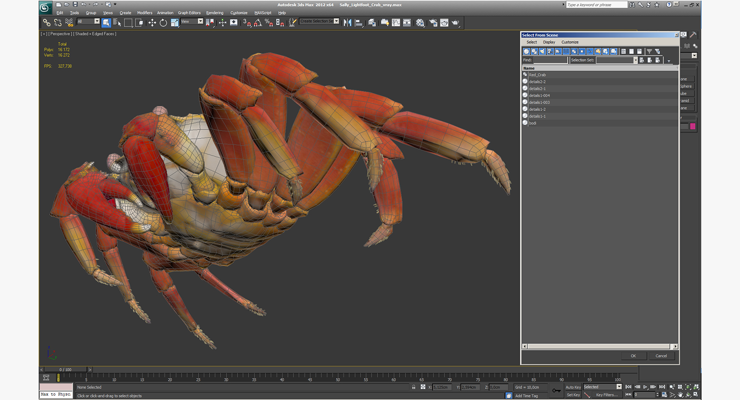 3D model Sally Lightfoot Crab