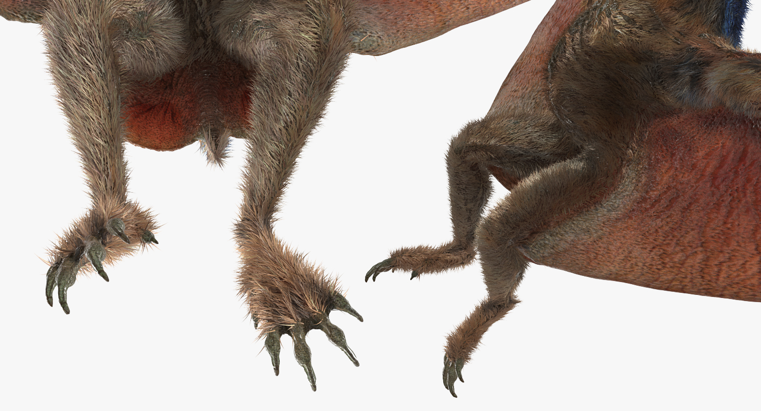 Pteranodon Landing Pose with Fur 3D