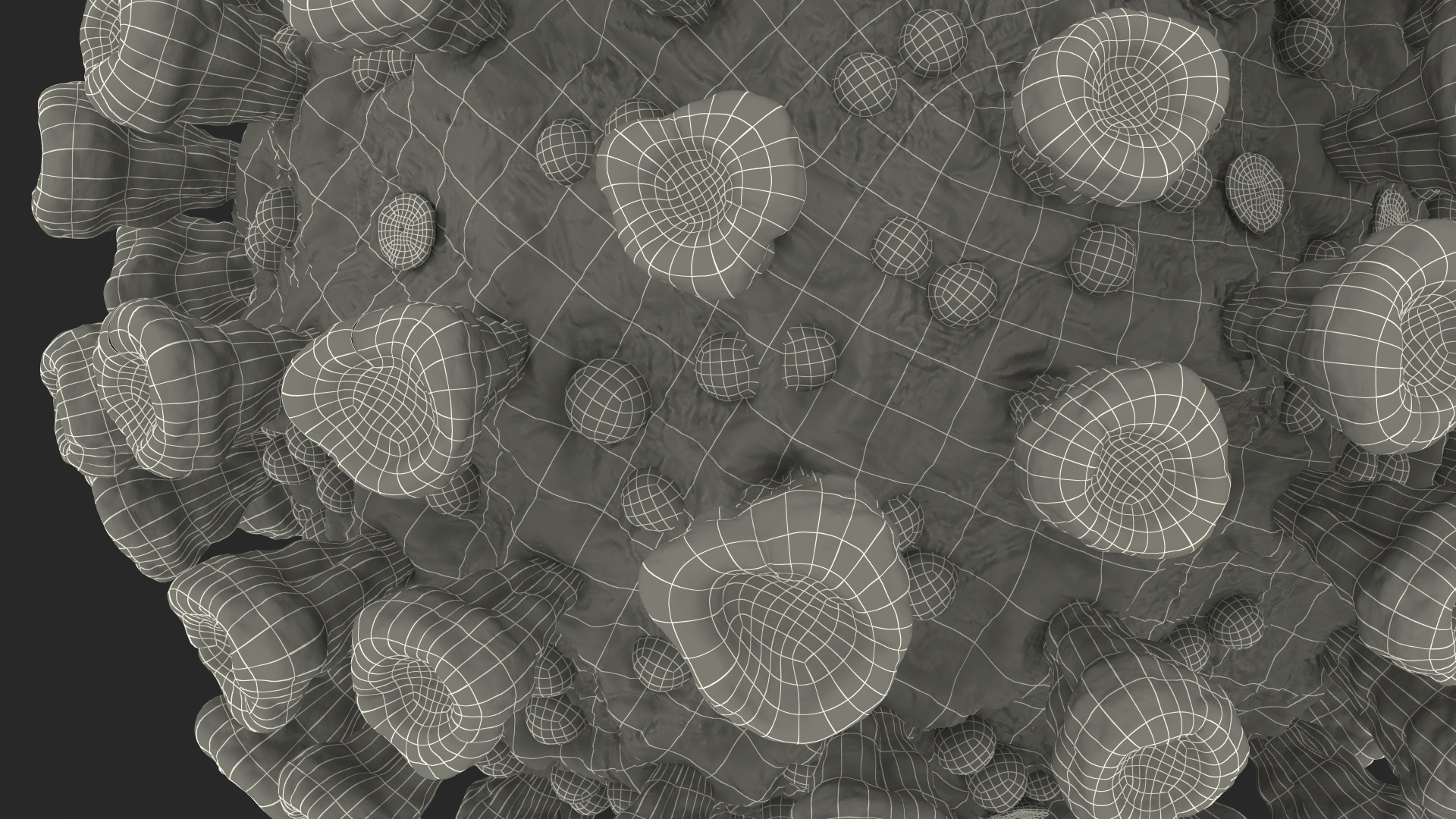3D model Coronavirus MERS-CoV