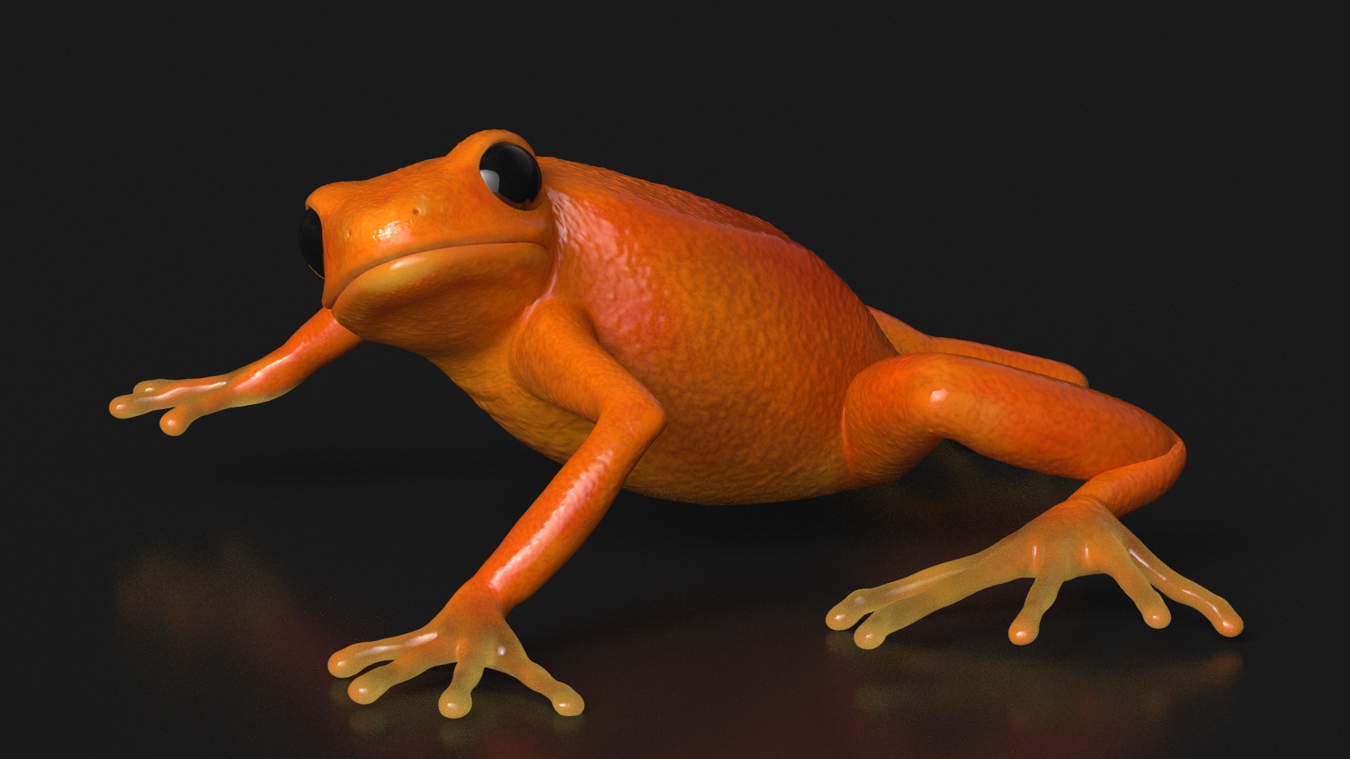 Realistic Tropical Mantella Frog Rigged 3D model