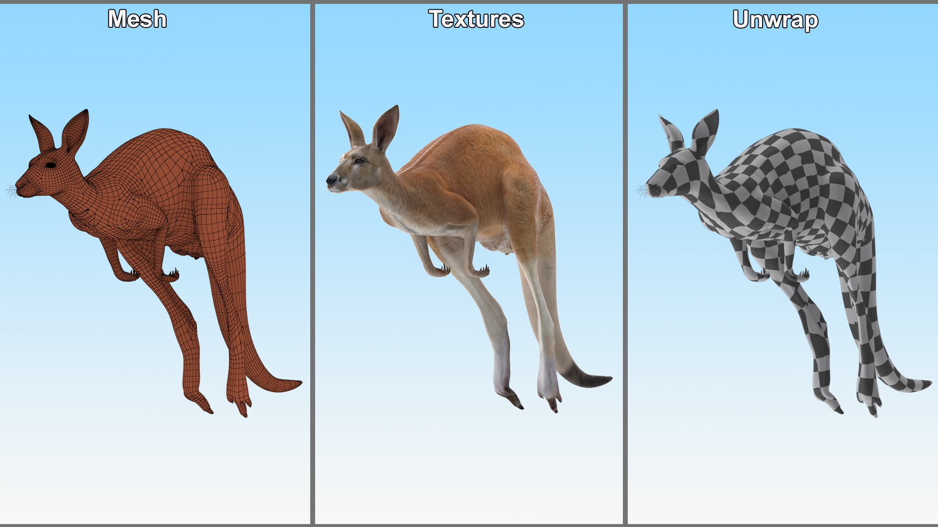 3D Kangaroo in Motion model
