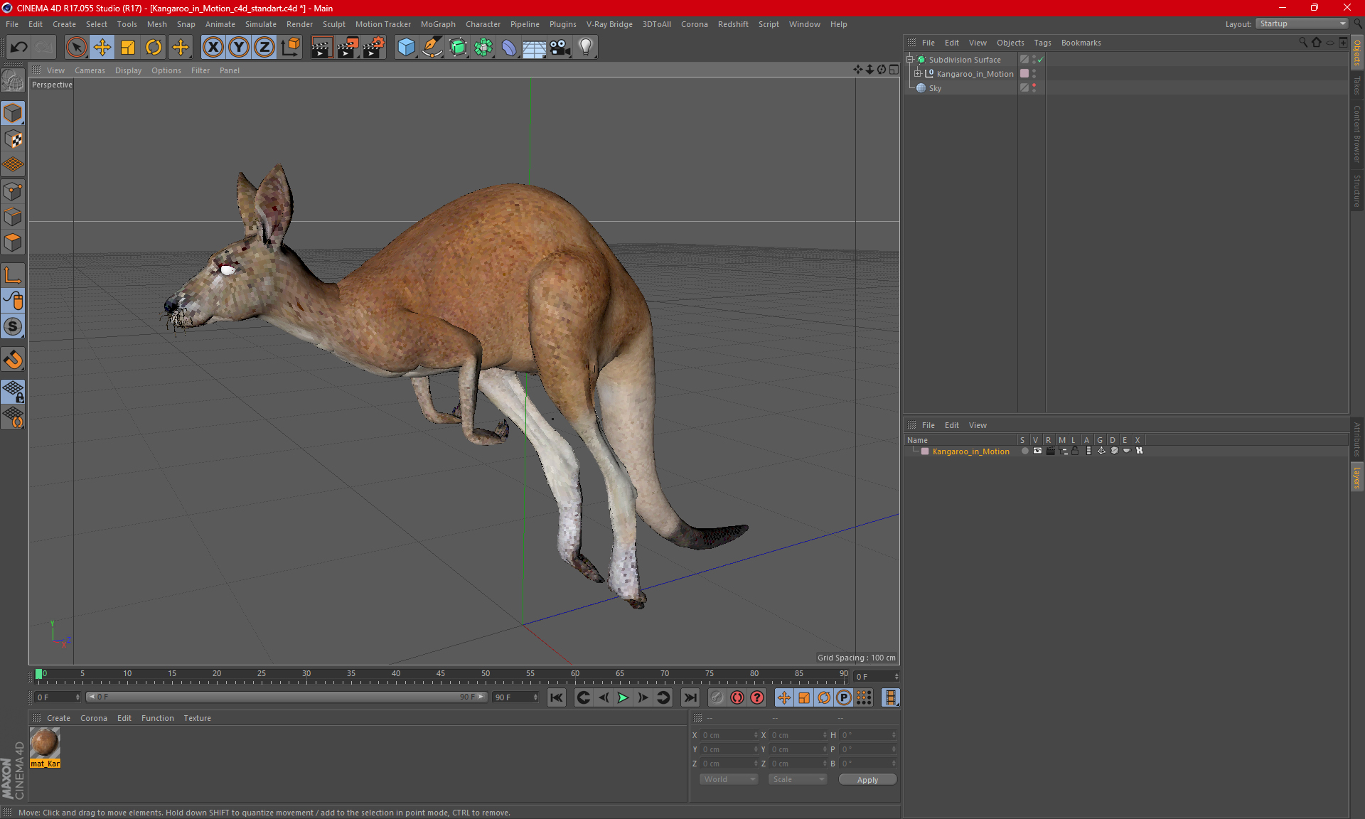 3D Kangaroo in Motion model