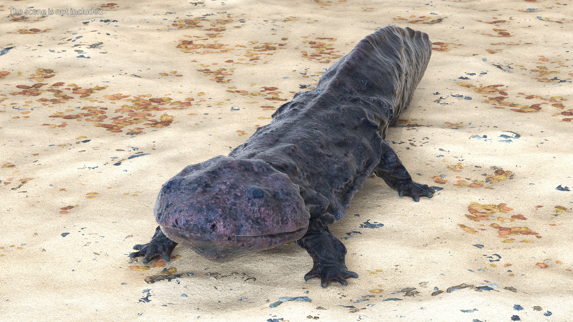 Salamander Dark Wet 3D model