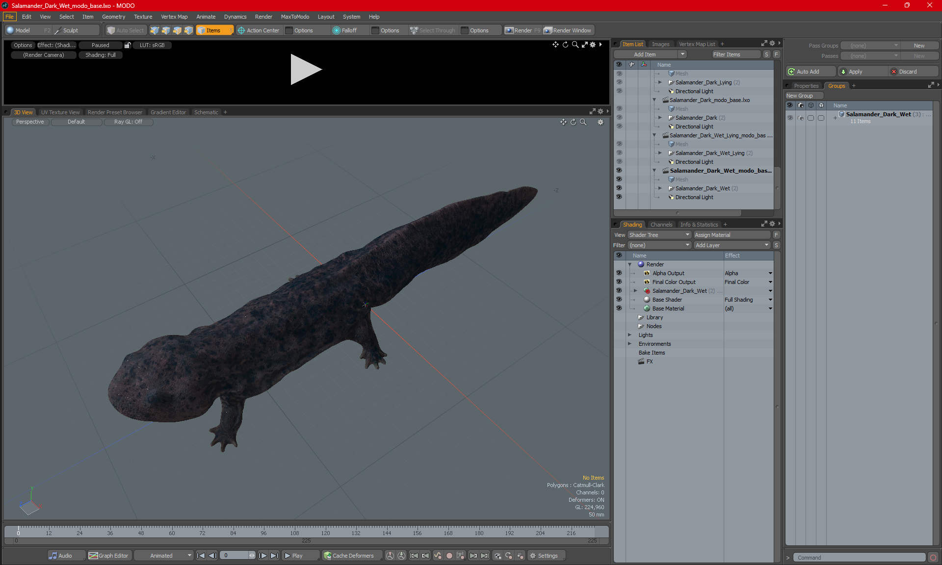 Salamander Dark Wet 3D model
