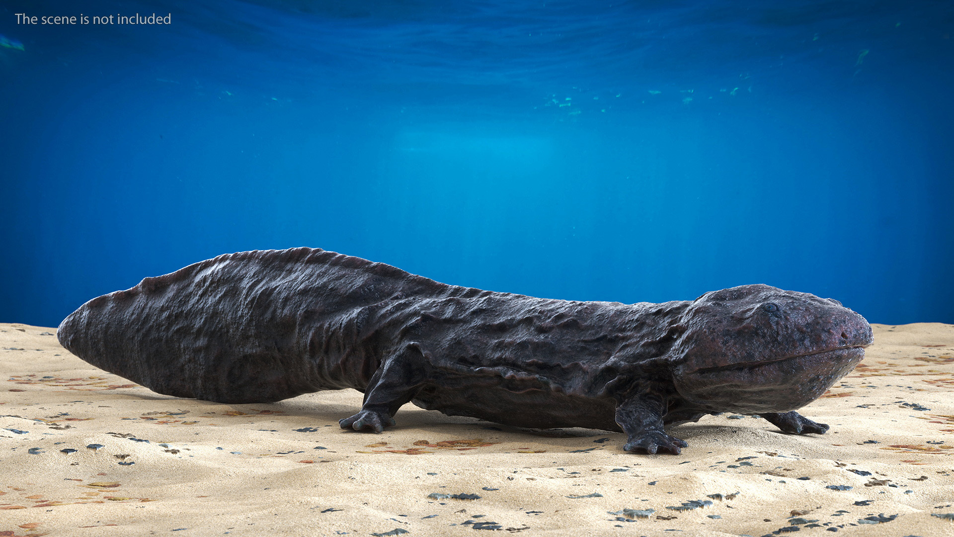Salamander Dark Wet 3D model