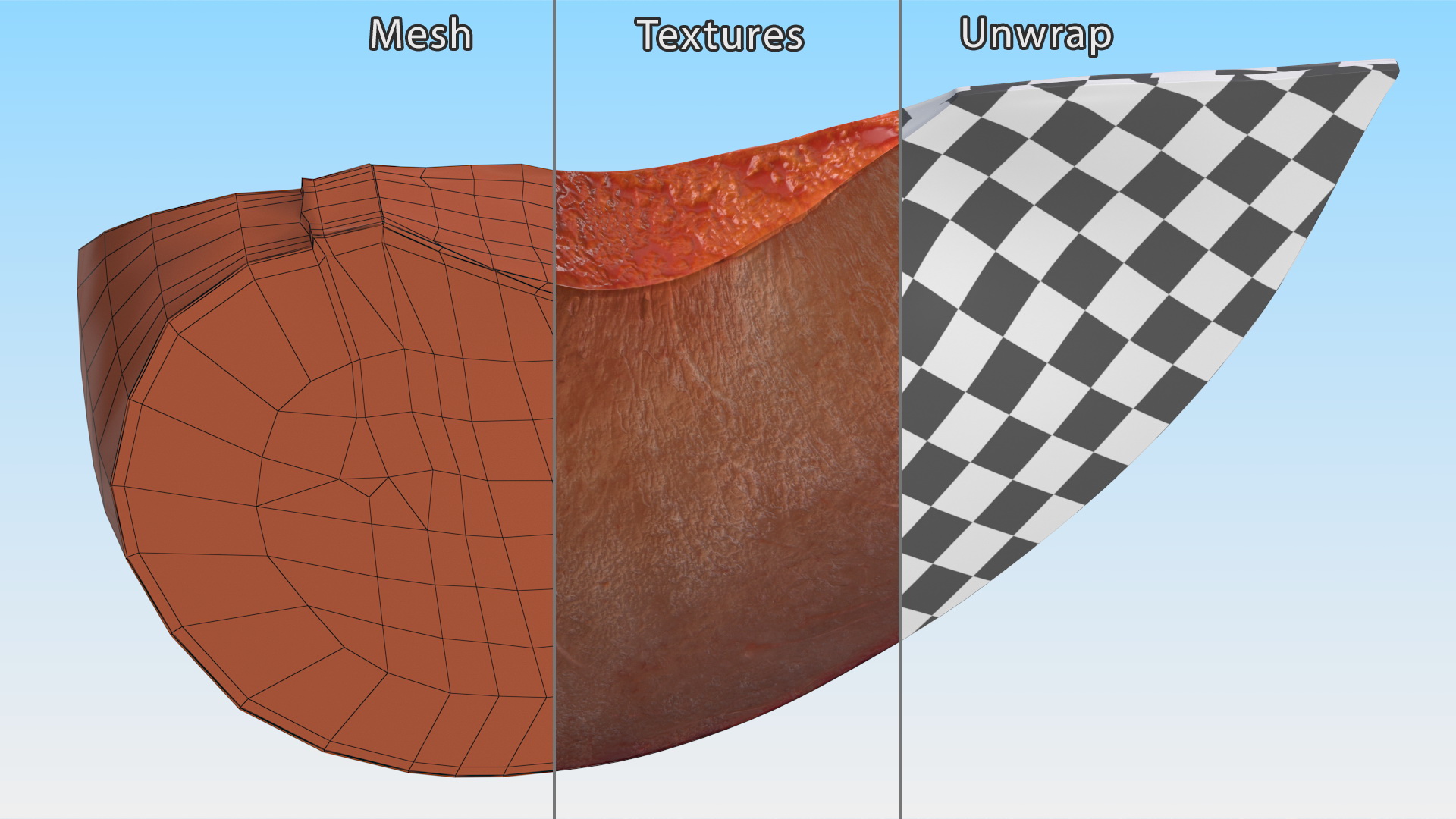 3D model Ripe Plum Slice