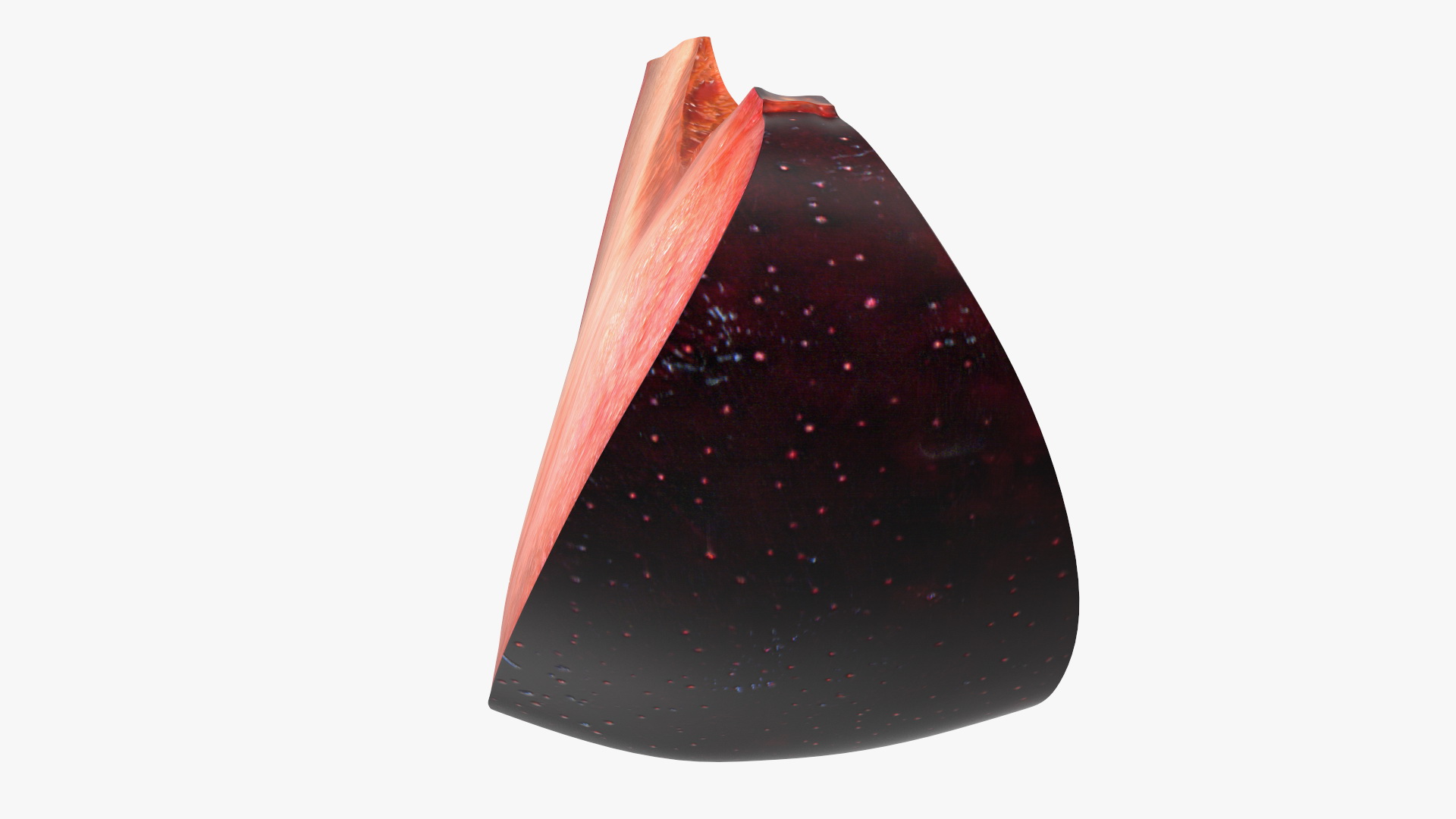 3D model Ripe Plum Slice
