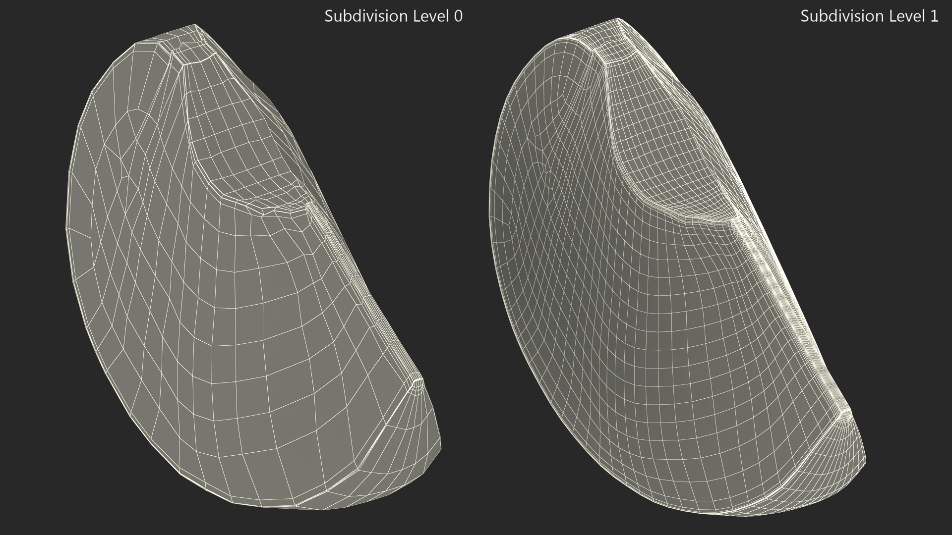 3D model Ripe Plum Slice