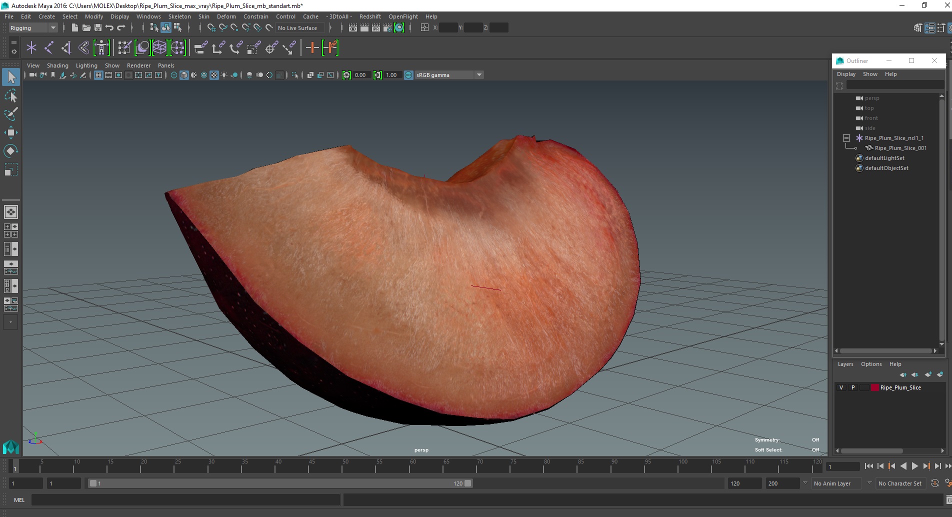 3D model Ripe Plum Slice