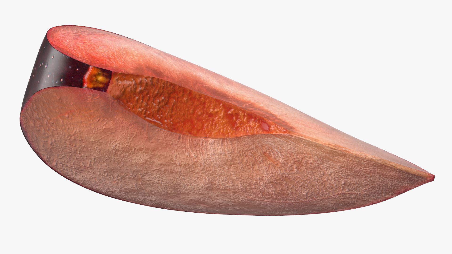 3D model Ripe Plum Slice
