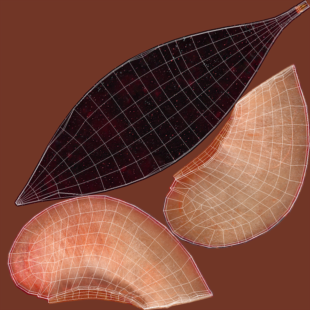 3D model Ripe Plum Slice