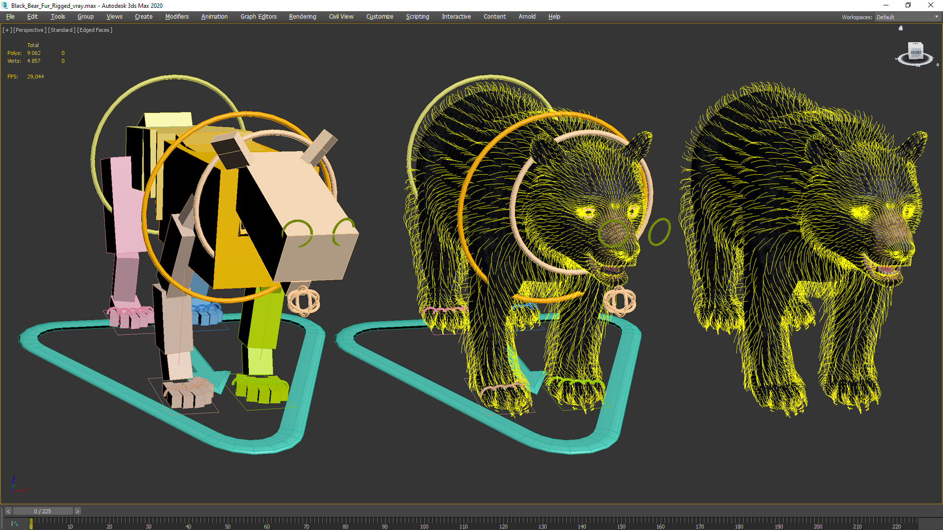 3D Black Bear Fur Rigged