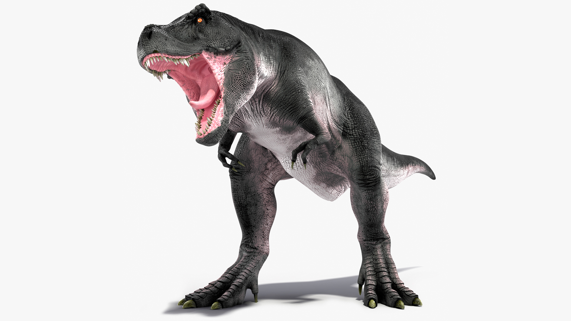 3D model T Rex Roar Pose