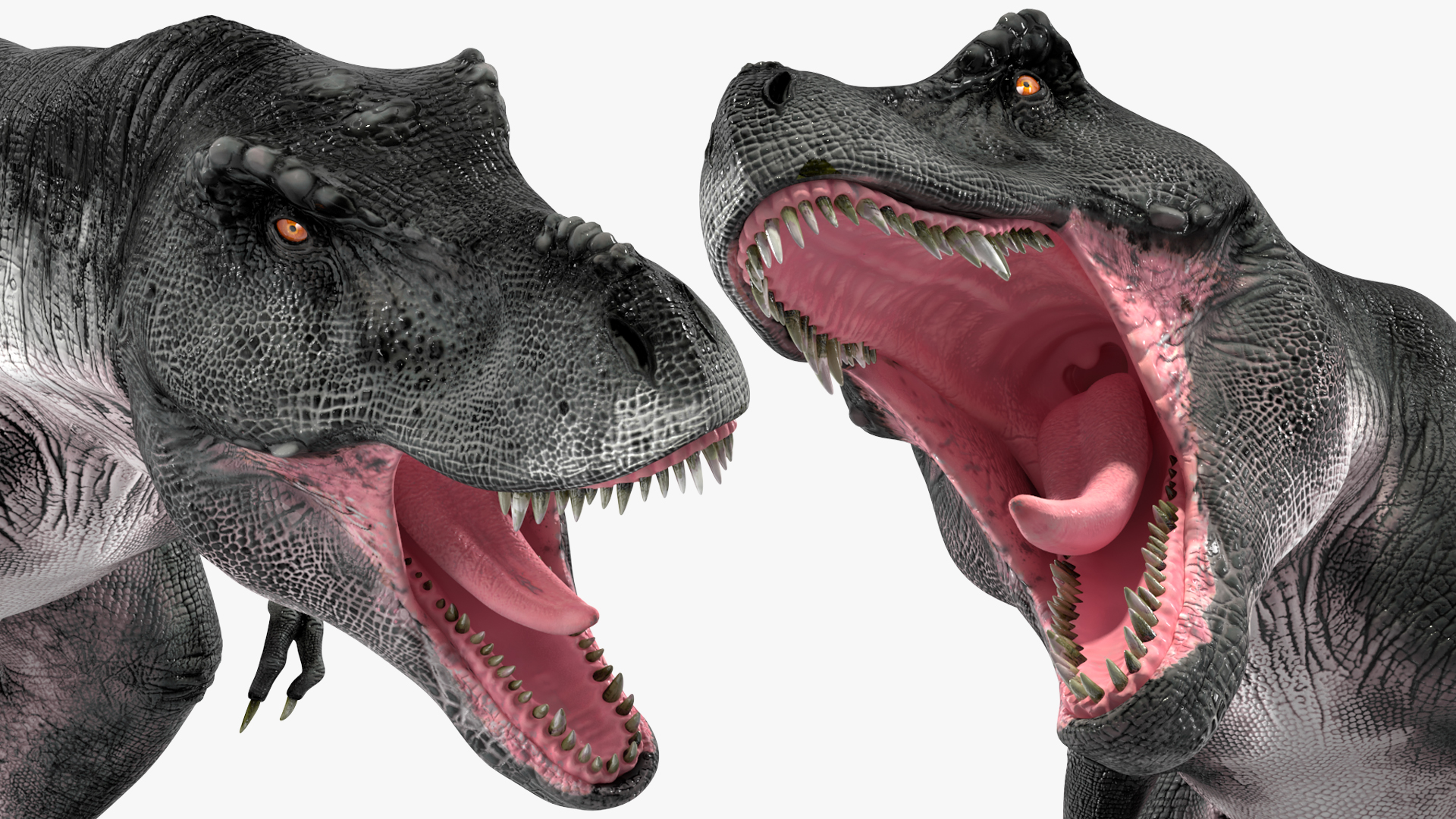 3D model T Rex Roar Pose