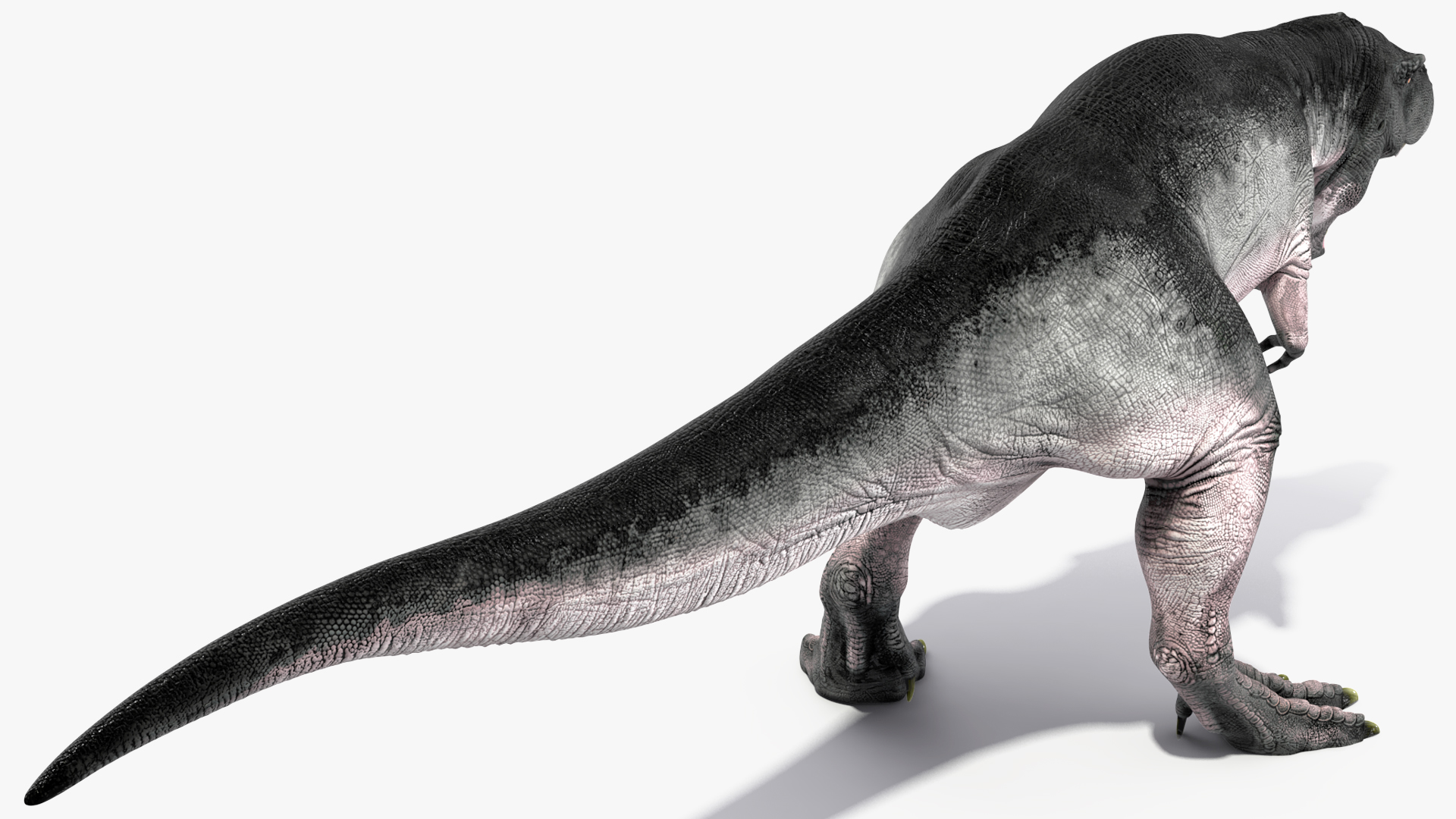 3D model T Rex Roar Pose