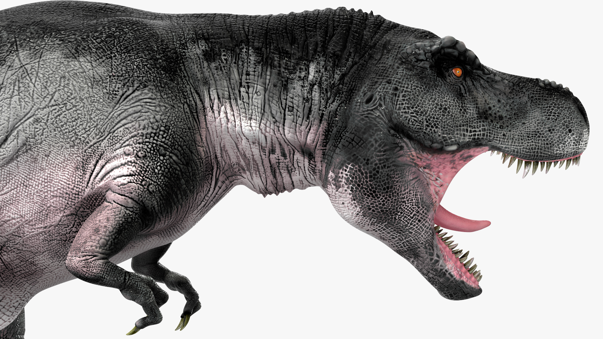 3D model T Rex Roar Pose