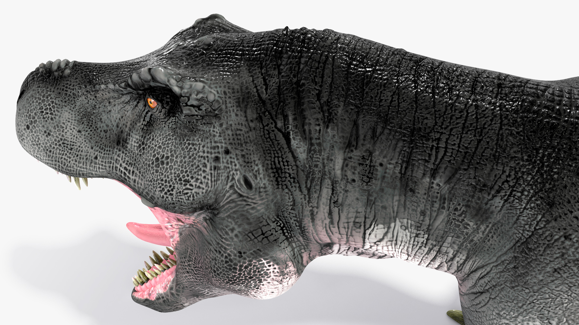 3D model T Rex Roar Pose